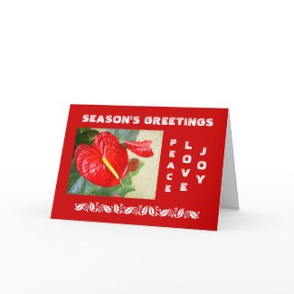 Season's Greetings Christmas Card