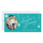 Season's Greetings Custom Photo Cards