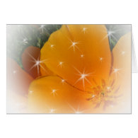 Seasons greetings flowering greeting card