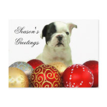 Season's Greetings French Bulldog postcard