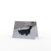 Seasons Greetings from Colorado Gordon Setter Card