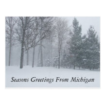 Seasons Greetings from Michigan Winter Snow Postca Post Cards