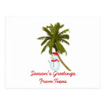 Season's Greetings from Texas, Snowman palm tree Postcards