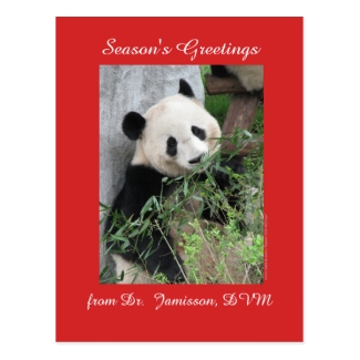 Seasons Greetings from Vet, Veterinarian, Postcard