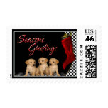 Seasons Greetings - Golden Retriever Puppies Dog postage