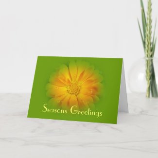Seasons greetings greeting card