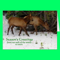 Season's Greetings cards