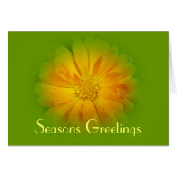 Seasons greetings  greeting card