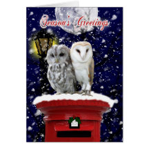 Season's Greetings Holiday Card With Winter Owl's