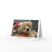 Seasons Greetings - Holiday Teddy Bear cards by ZenfulDelights Seasons Greetings - Holiday Teddy Bear cards