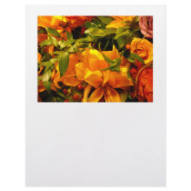 Season's Greetings letterhead