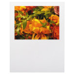 Season's Greetings Letterhead Design