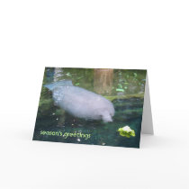 season's greetings - lettuce cards