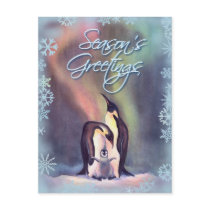 SEASON'S GREETINGS PENGUINS by SHARON SHARPE postcards by sharonsharpe SEASON'S GREETINGS PENGUINS by SHARON SHARPE postcards