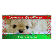 Seasons Greetings Personalized Dog photo card