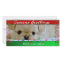 Seasons Greetings Personalized Dog photo card photo cards by aslentz Seasons Greetings Personalized Dog photo card photo cards