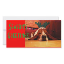 Season's Greetings Photo Card