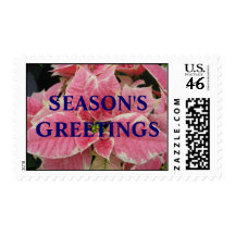 Season's Greetings Poinsettia Postage Stamp