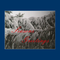 Seasons  Greetings post card postcards