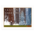 Season's Greetings Post Cards