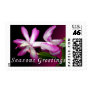 Seasons Greetings
