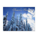 Season's Greetings postcards by akiliking Season's Greetings postcards