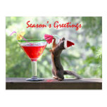 Season's Greetings Squirrel Post Card