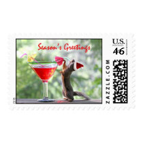 Season's Greetings Squirrel Stamps