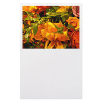 Season's Greetings stationery