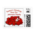 Seasons Greetings Template Stamp by stampstore Seasons Greetings Template Stamp