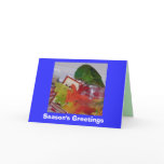 Seasons Greetings - to family Greeting Card
