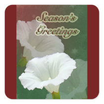 Season's Greetings - White Bindweed Square Sticker