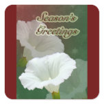 Season's Greetings - White Bindweed Square Sticker