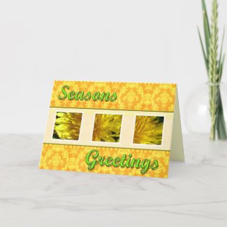 Season's greetings wild dandelion flowers cards