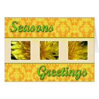 Season's greetings wild dandelion flowers cards