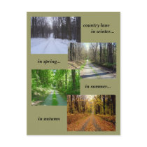 'Seasons in the Country' photo postcard by MarDar 'Seasons in the Country' photo postcard