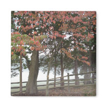 Seasons magnets by Jack_of_Arts Seasons magnets