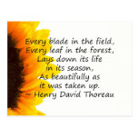 Seasons of Life Postcards