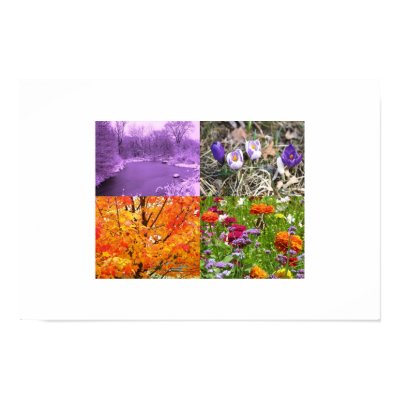 Seasons of Nature Poster from Zazzle. Seasons of Nature Poster from Zazzle.