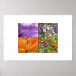 Seasons of Nature Poster