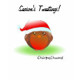 Season's tweetings Christmas Robin shirt