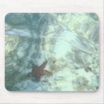 SEASTAR MOUSE PADS