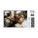 Seastar postage
