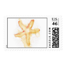 Seastar Postage Stamp