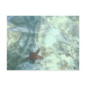 SEASTAR postcards