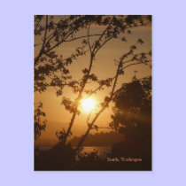 Seattle Sunset postcards
