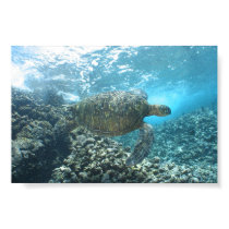 Seaturtle at the Shorebreak posters