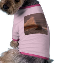 Seawalls La Jolla Seals Beaches Waves pet clothing