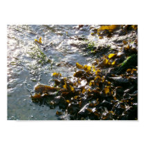 =-=-=-seaweed=-=-= posters