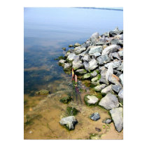 Seaweed Rocks posters